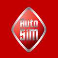 Auto-SIM