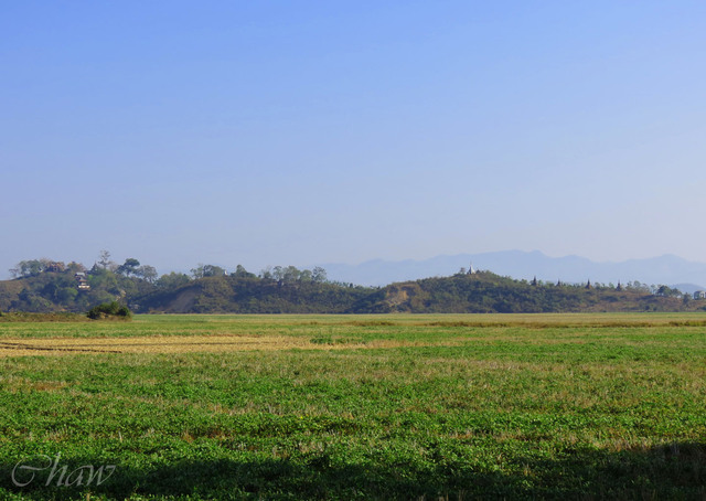 Image Hosted by PicturePush - Photo Sharing