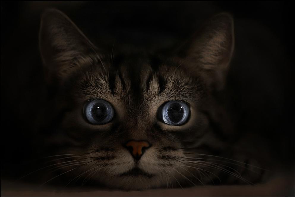 Click here to join funchoice