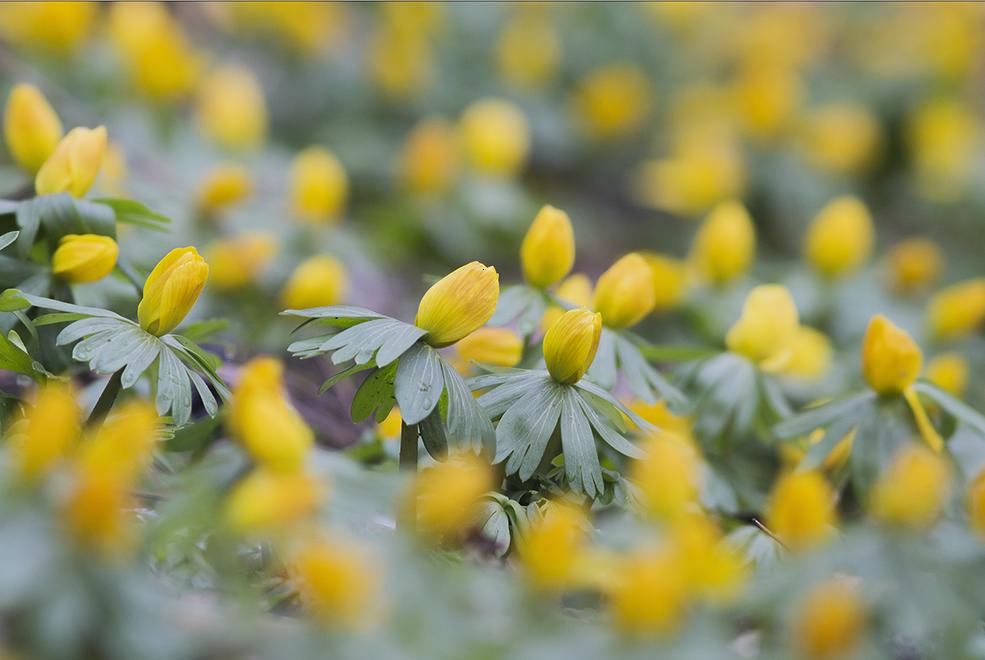 Click here to join funchoice