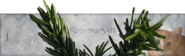 Secret Santa 2013 || Cadeau topic! 13935198