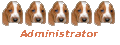 Site Admin Site Admin