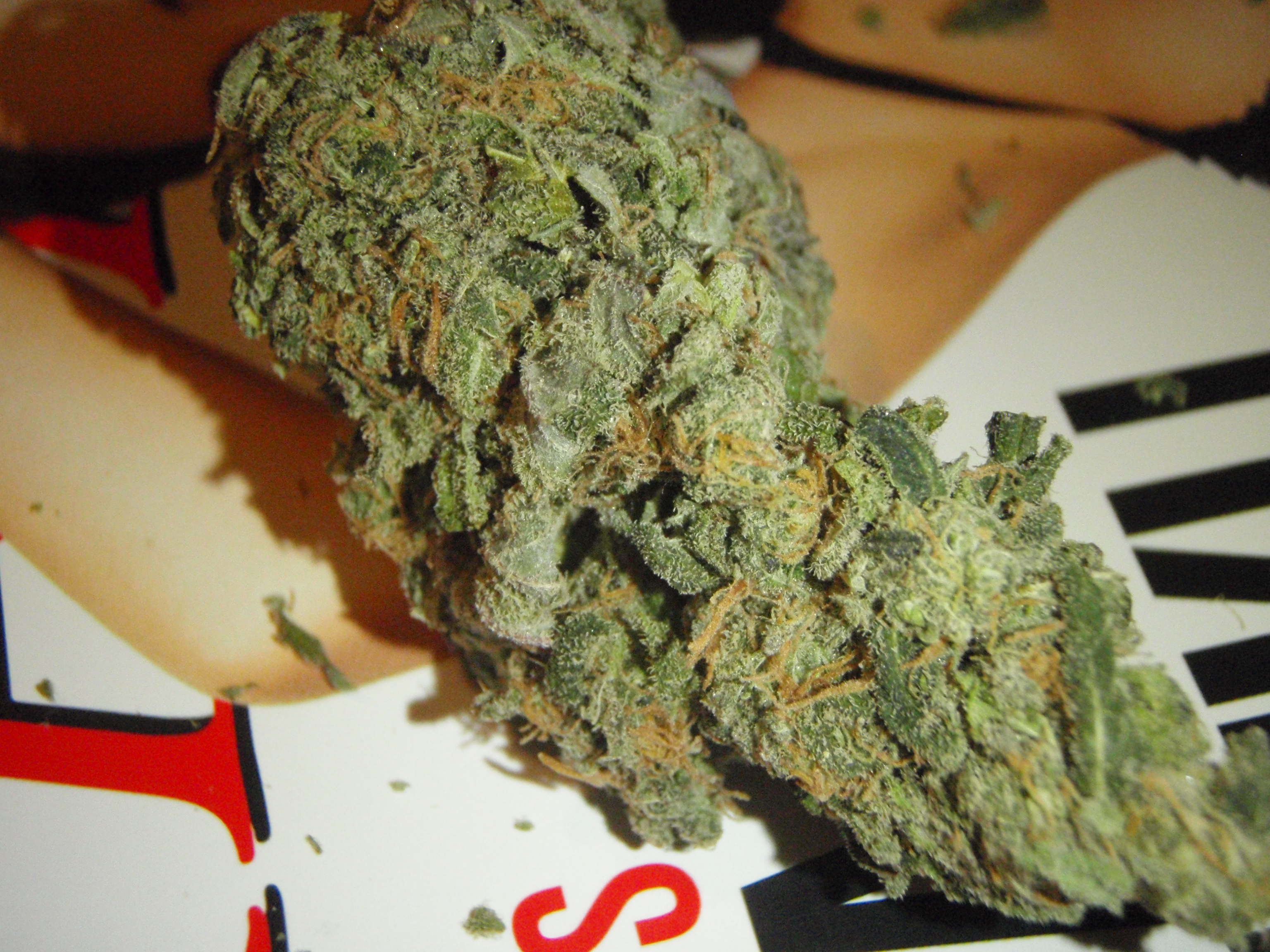 Blueberry Kush Bud