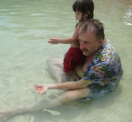 http://www5.picturepush.com/photo/a/1928493/img/Anonymous/fishfeed.jpg