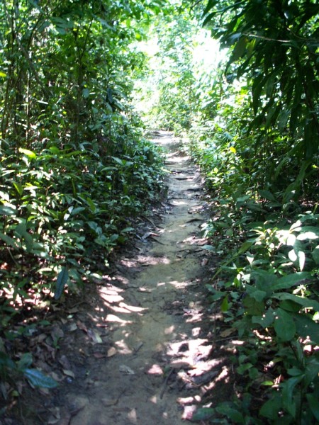 http://www5.picturepush.com/photo/a/1995903/img/Anonymous/1looseway.jpg