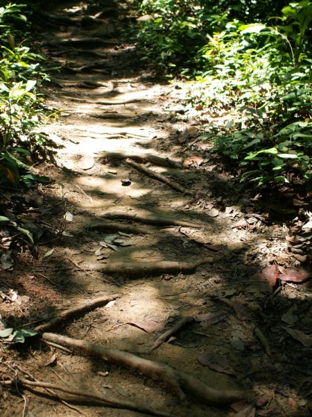 http://www5.picturepush.com/photo/a/1995948/img/Anonymous/2looseway.jpg