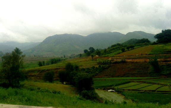 Image Hosted by PicturePush - Photo Sharing