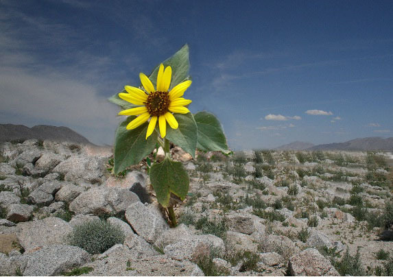 Image Hosted by PicturePush - Photo Sharing