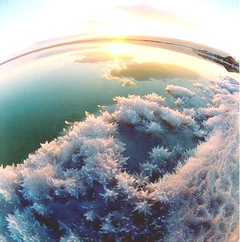 Image Hosted by PicturePush - Photo Sharing