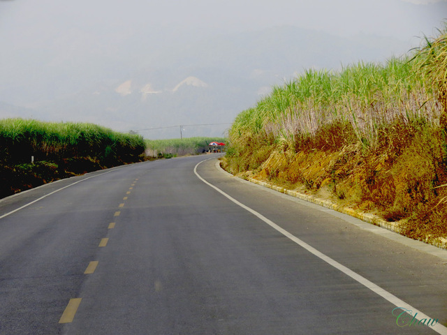 Image Hosted by PicturePush - Photo Sharing
