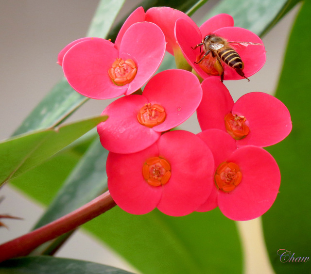 Image Hosted by PicturePush - Photo Sharing