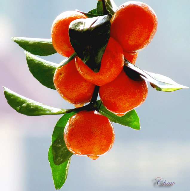 Image Hosted by PicturePush - Photo Sharing
