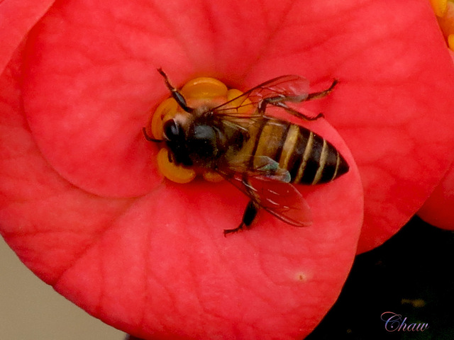 Image Hosted by PicturePush - Photo Sharing