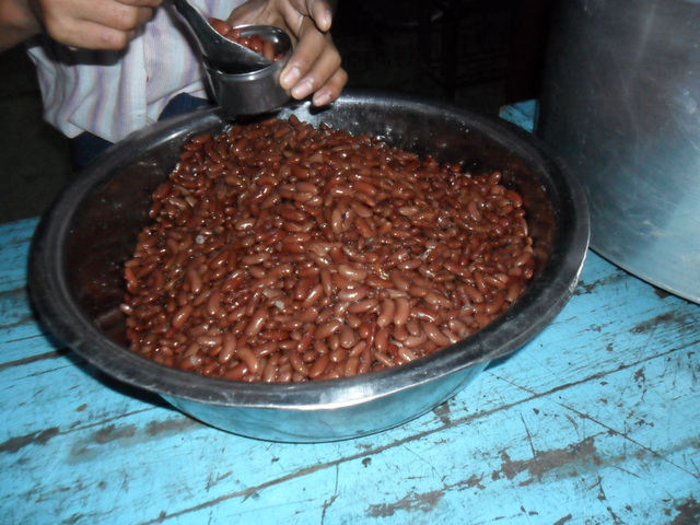 7313528.jpg 7313528.jpg