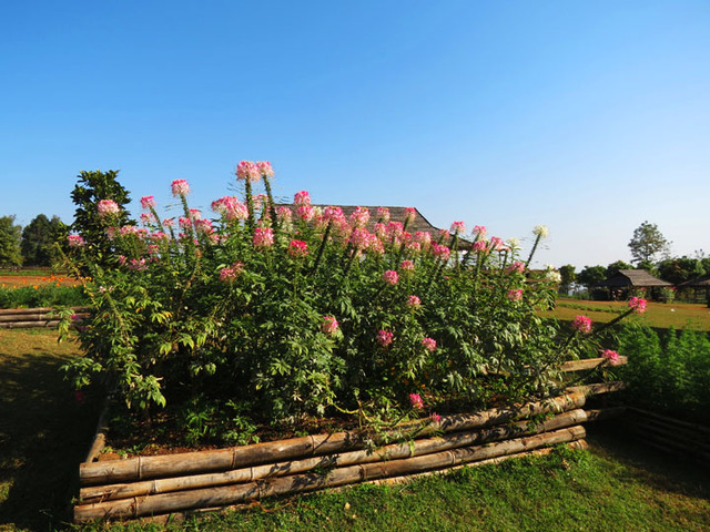 Image Hosted by PicturePush - Photo Sharing