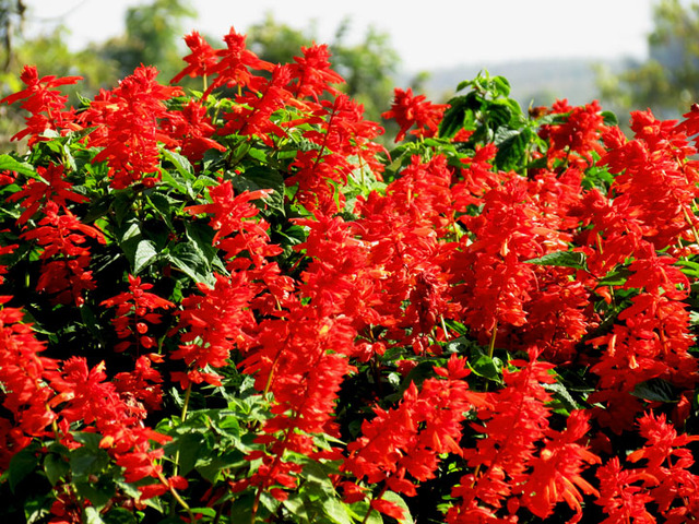 Image Hosted by PicturePush - Photo Sharing