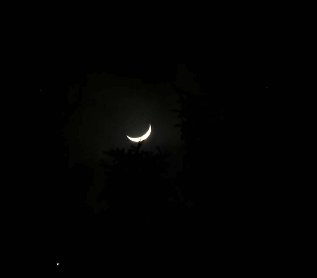 moon-feb-25th-2.jpg