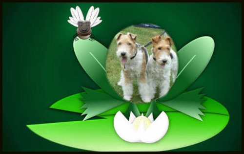 Image Hosted by PicturePush - Photo Sharing